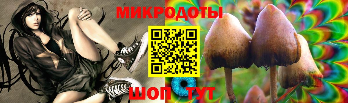 Галлюциногенные грибы Psilocybe  Вход с VPN  Железноводск  Псилоцибиновые грибы Psilocybe 